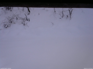 長野県菅平高原 ゆたか山荘 南側 2026/01/13 13:45