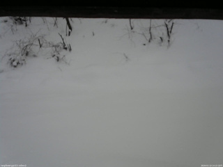 長野県菅平高原 ゆたか山荘 南側 2026/01/13 14:15