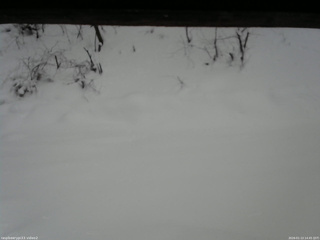 長野県菅平高原 ゆたか山荘 南側 2026/01/13 14:45