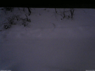 長野県菅平高原 ゆたか山荘 南側 2026/01/14 06:30