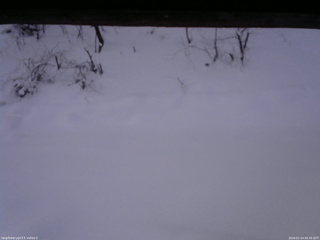 長野県菅平高原 ゆたか山荘 南側 2026/01/14 06:45