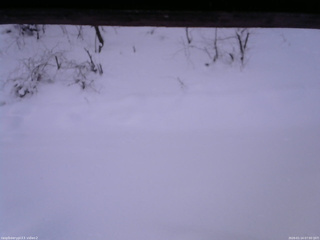 長野県菅平高原 ゆたか山荘 南側 2026/01/14 07:00