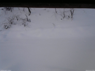 長野県菅平高原 ゆたか山荘 南側 2026/01/14 07:15