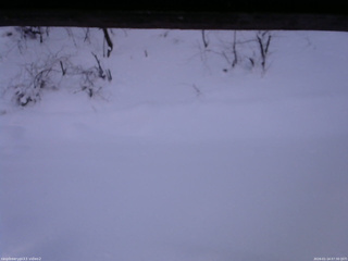 長野県菅平高原 ゆたか山荘 南側 2026/01/14 07:30