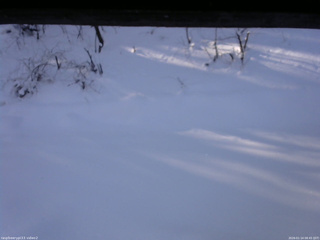 長野県菅平高原 ゆたか山荘 南側 2026/01/14 08:45