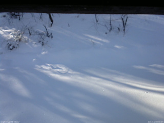 長野県菅平高原 ゆたか山荘 南側 2026/01/14 09:00