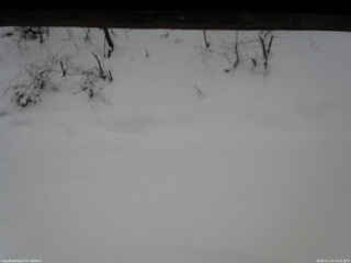 長野県菅平高原 ゆたか山荘 南側 2026/01/14 11:15