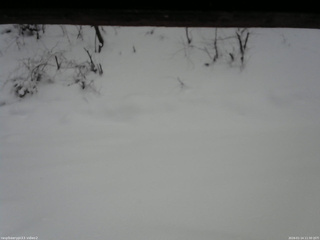 長野県菅平高原 ゆたか山荘 南側 2026/01/14 11:30