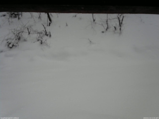 長野県菅平高原 ゆたか山荘 南側 2026/01/14 11:45