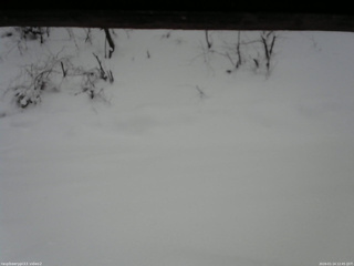 長野県菅平高原 ゆたか山荘 南側 2026/01/14 12:45