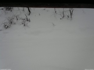 長野県菅平高原 ゆたか山荘 南側 2026/01/14 13:00