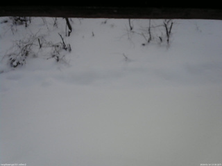 長野県菅平高原 ゆたか山荘 南側 2026/01/14 13:30