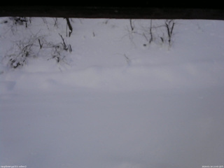 長野県菅平高原 ゆたか山荘 南側 2026/01/14 13:45