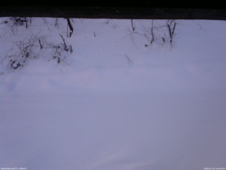 長野県菅平高原 ゆたか山荘 南側 2026/01/14 14:00