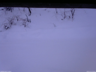 長野県菅平高原 ゆたか山荘 南側 2026/01/15 07:00