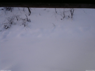 長野県菅平高原 ゆたか山荘 南側 2026/01/15 07:30