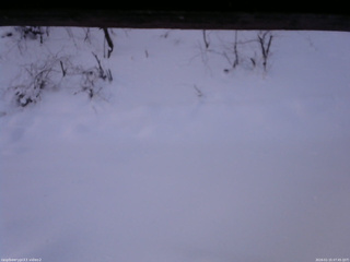 長野県菅平高原 ゆたか山荘 南側 2026/01/15 07:45