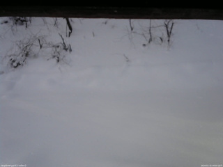 長野県菅平高原 ゆたか山荘 南側 2026/01/15 08:00