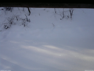 長野県菅平高原 ゆたか山荘 南側 2026/01/15 08:15