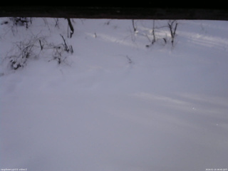 長野県菅平高原 ゆたか山荘 南側 2026/01/15 08:45