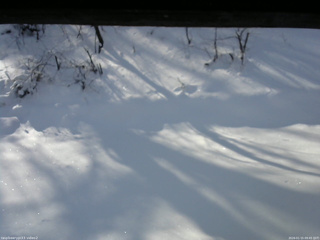 長野県菅平高原 ゆたか山荘 南側 2026/01/15 09:45