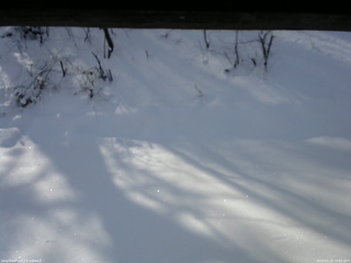 長野県菅平高原 ゆたか山荘 南側 2026/01/15 10:00