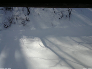 長野県菅平高原 ゆたか山荘 南側 2026/01/15 10:30