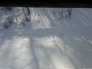 長野県菅平高原 ゆたか山荘 南側 2026/01/15 11:00