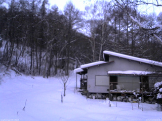 長野県菅平高原 ゆたか山荘 西側(坂上) 2026/01/15 06:45