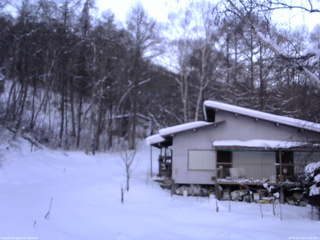 長野県菅平高原 ゆたか山荘 西側(坂上) 2026/01/15 07:00