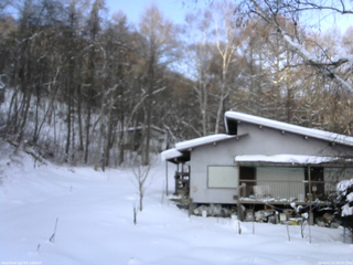 長野県菅平高原 ゆたか山荘 西側(坂上) 2026/01/15 08:00