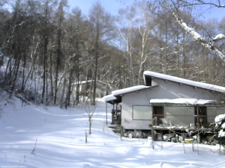 長野県菅平高原 ゆたか山荘 西側(坂上) 2026/01/15 11:00