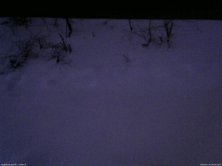 長野県菅平高原 ゆたか山荘 南側 2026/01/16 06:30