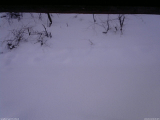 長野県菅平高原 ゆたか山荘 南側 2026/01/16 06:45