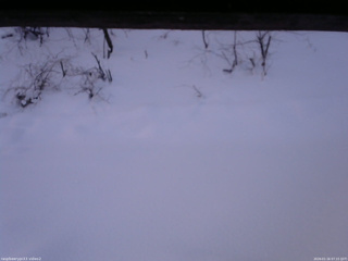 長野県菅平高原 ゆたか山荘 南側 2026/01/16 07:15