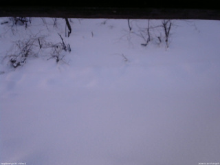 長野県菅平高原 ゆたか山荘 南側 2026/01/16 07:30