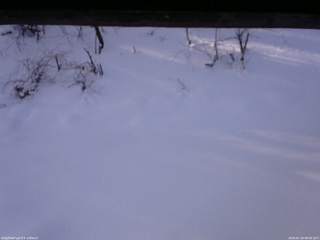 長野県菅平高原 ゆたか山荘 南側 2026/01/16 08:45