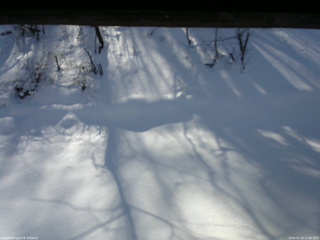 長野県菅平高原 ゆたか山荘 南側 2026/01/16 11:00