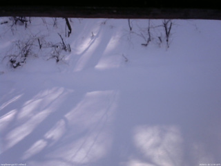 長野県菅平高原 ゆたか山荘 南側 2026/01/16 12:30