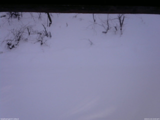 長野県菅平高原 ゆたか山荘 南側 2026/01/16 14:00