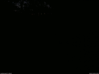 長野県菅平高原 ゆたか山荘 東側(坂下) 2026/01/16 06:15