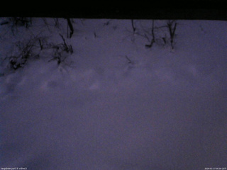 長野県菅平高原 ゆたか山荘 南側 2026/01/17 06:30