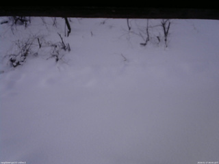 長野県菅平高原 ゆたか山荘 南側 2026/01/17 06:45