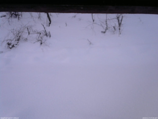 長野県菅平高原 ゆたか山荘 南側 2026/01/17 07:00