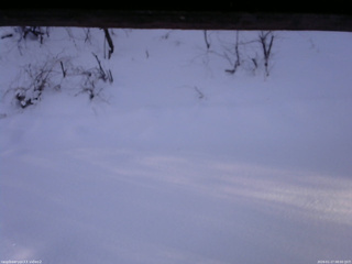 長野県菅平高原 ゆたか山荘 南側 2026/01/17 08:00