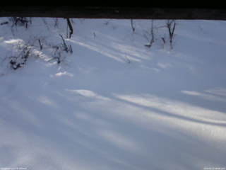 長野県菅平高原 ゆたか山荘 南側 2026/01/17 09:00