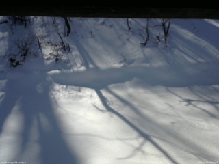 長野県菅平高原 ゆたか山荘 南側 2026/01/17 10:30