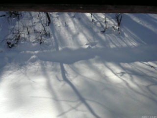 長野県菅平高原 ゆたか山荘 南側 2026/01/17 10:45