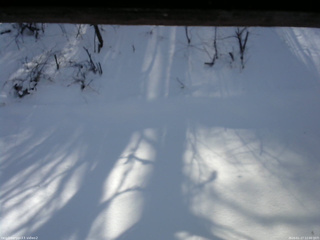 長野県菅平高原 ゆたか山荘 南側 2026/01/17 12:00