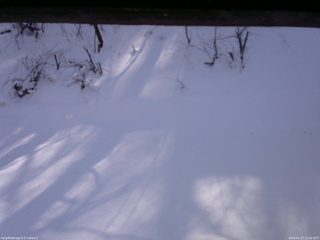 長野県菅平高原 ゆたか山荘 南側 2026/01/17 12:30